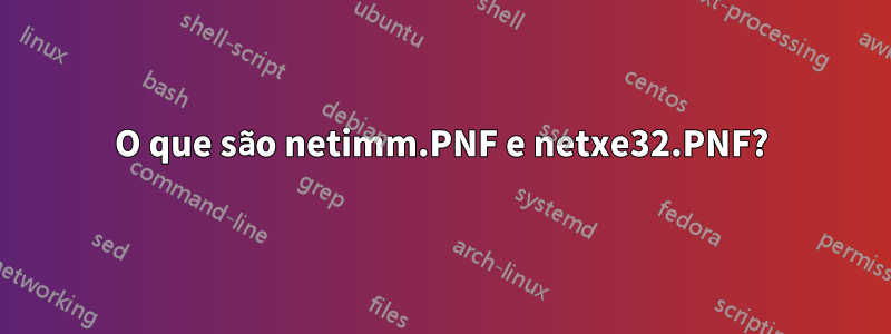 O que são netimm.PNF e netxe32.PNF?
