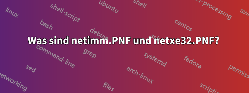 Was sind netimm.PNF und netxe32.PNF?