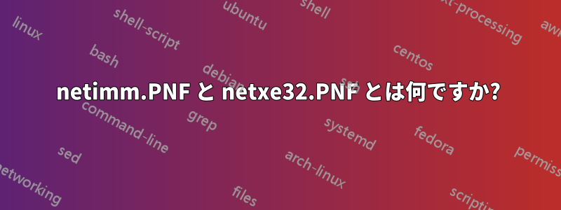 netimm.PNF と netxe32.PNF とは何ですか?