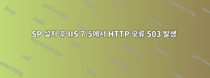 SP 설치 후 IIS 7.5에서 HTTP 오류 503 발생