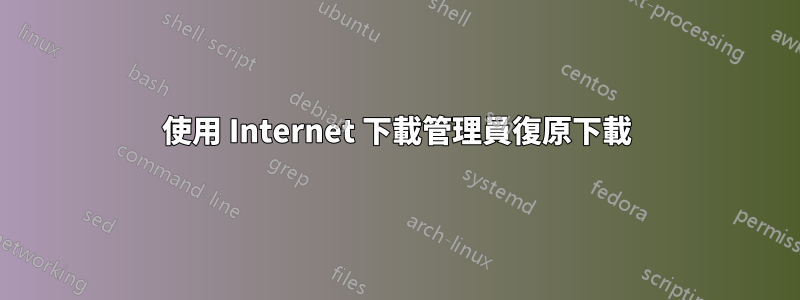 使用 Internet 下載管理員復原下載