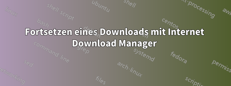 Fortsetzen eines Downloads mit Internet Download Manager