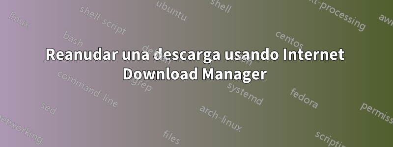 Reanudar una descarga usando Internet Download Manager
