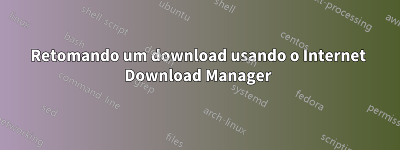 Retomando um download usando o Internet Download Manager