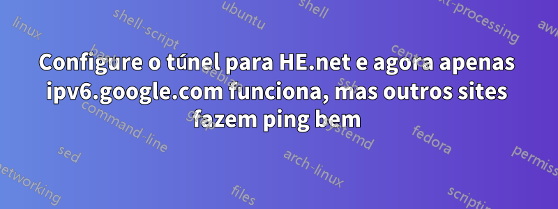 Configure o túnel para HE.net e agora apenas ipv6.google.com funciona, mas outros sites fazem ping bem
