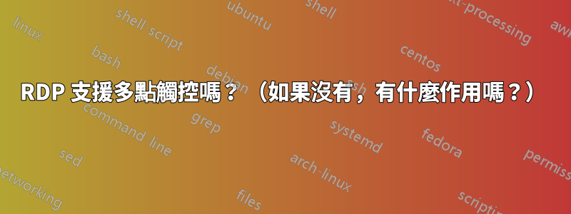 RDP 支援多點觸控嗎？ （如果沒有，有什麼作用嗎？）