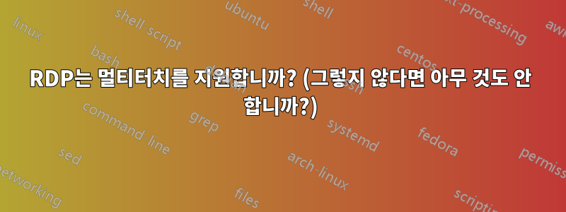 RDP는 멀티터치를 지원합니까? (그렇지 않다면 아무 것도 안 합니까?)