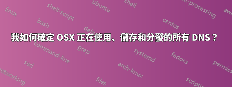 我如何確定 OSX 正在使用、儲存和分發的所有 DNS？