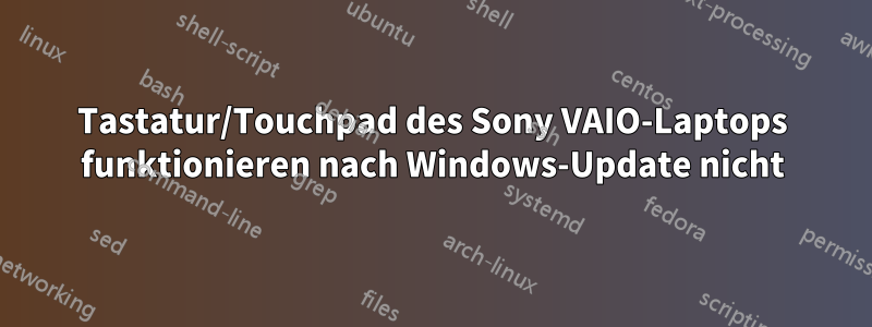 Tastatur/Touchpad des Sony VAIO-Laptops funktionieren nach Windows-Update nicht