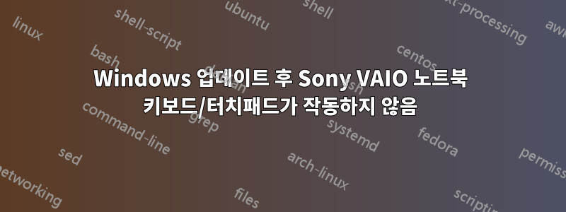 Windows 업데이트 후 Sony VAIO 노트북 키보드/터치패드가 작동하지 않음
