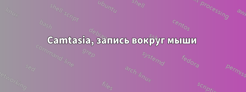 Camtasia, запись вокруг мыши