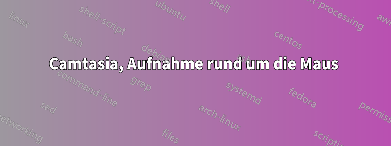 Camtasia, Aufnahme rund um die Maus