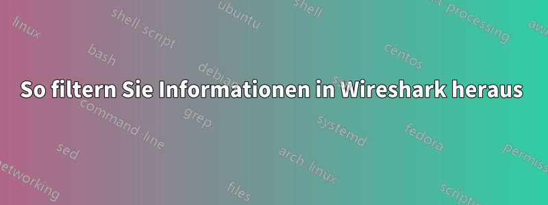 So filtern Sie Informationen in Wireshark heraus