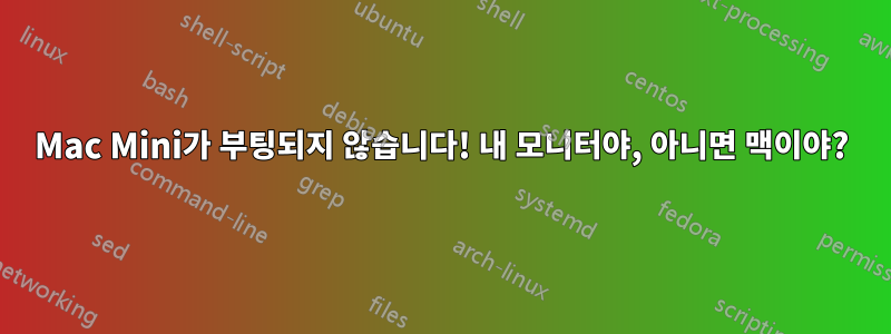 Mac Mini가 부팅되지 않습니다! 내 모니터야, 아니면 맥이야?
