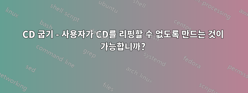 CD 굽기 - 사용자가 CD를 리핑할 수 없도록 만드는 것이 가능합니까?