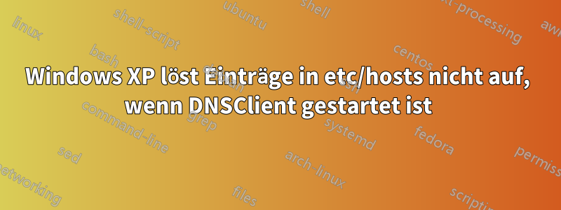 Windows XP löst Einträge in etc/hosts nicht auf, wenn DNSClient gestartet ist