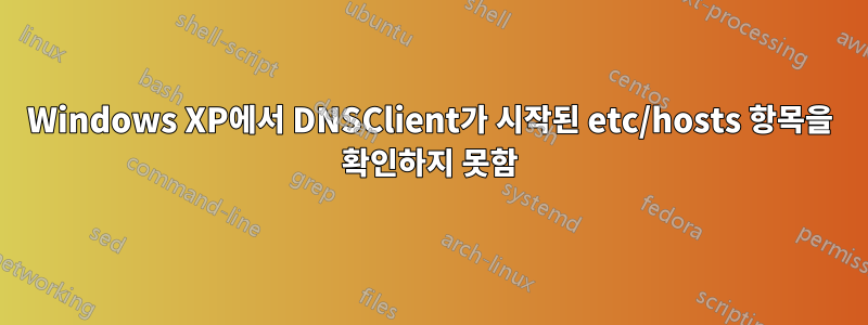 Windows XP에서 DNSClient가 시작된 etc/hosts 항목을 확인하지 못함