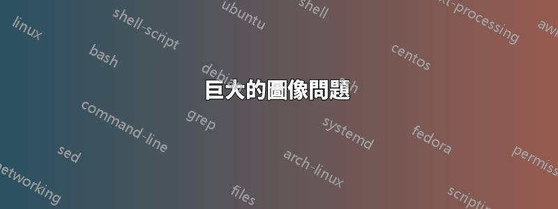 巨大的圖像問題