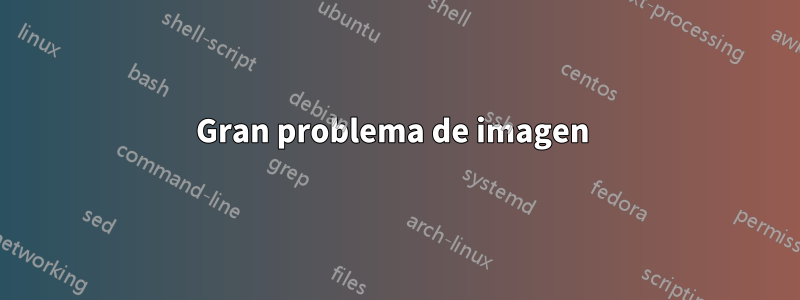 Gran problema de imagen 