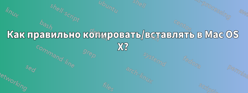 Как правильно копировать/вставлять в Mac OS X?