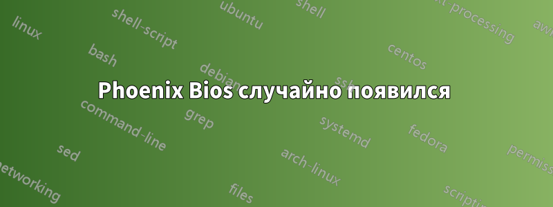 Phoenix Bios случайно появился