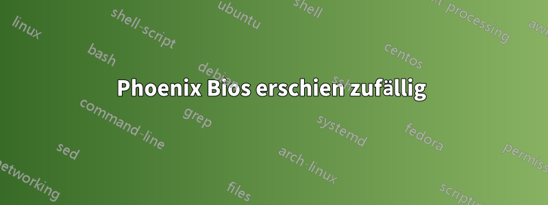 Phoenix Bios erschien zufällig