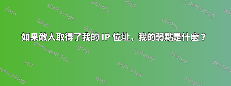 如果敵人取得了我的 IP 位址，我的弱點是什麼？