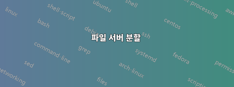 파일 서버 분할