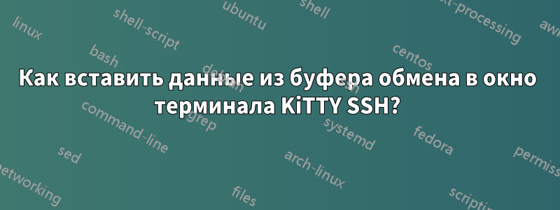 Как вставить данные из буфера обмена в окно терминала KiTTY SSH?