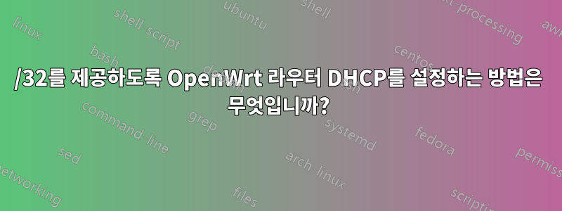 /32를 제공하도록 OpenWrt 라우터 DHCP를 설정하는 방법은 무엇입니까?