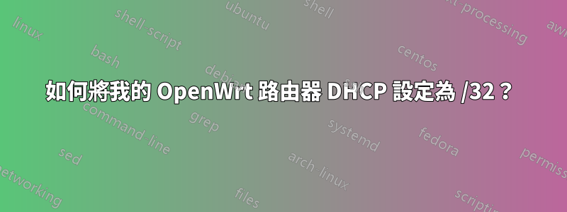 如何將我的 OpenWrt 路由器 DHCP 設定為 /32？