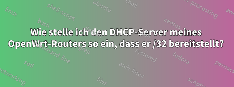 Wie stelle ich den DHCP-Server meines OpenWrt-Routers so ein, dass er /32 bereitstellt?