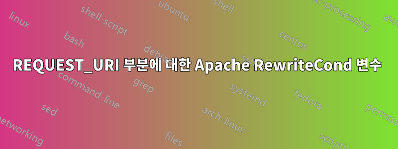 REQUEST_URI 부분에 대한 Apache RewriteCond 변수