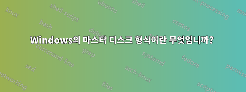 Windows의 마스터 디스크 형식이란 무엇입니까?