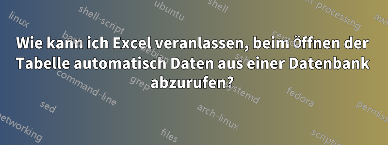 Wie kann ich Excel veranlassen, beim Öffnen der Tabelle automatisch Daten aus einer Datenbank abzurufen?