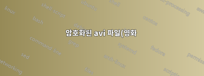 암호화된 avi 파일(영화)