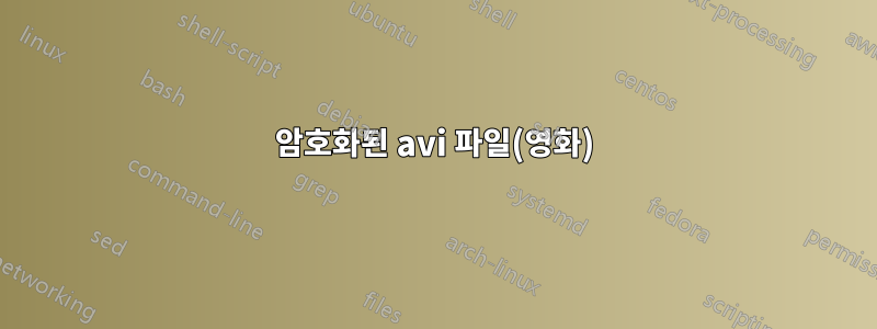 암호화된 avi 파일(영화)