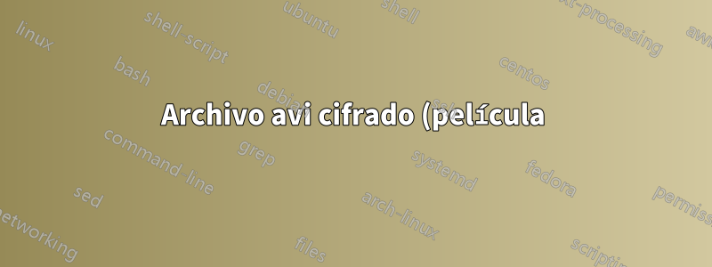 Archivo avi cifrado (película)