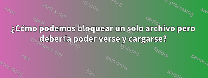 ¿Cómo podemos bloquear un solo archivo pero debería poder verse y cargarse?