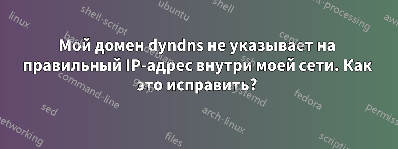 Мой домен dyndns не указывает на правильный IP-адрес внутри моей сети. Как это исправить?