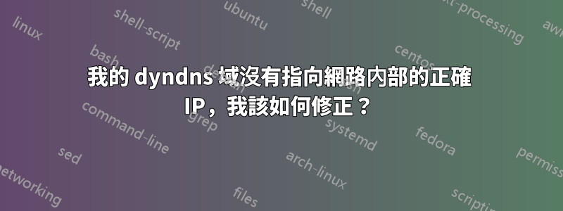 我的 dyndns 域沒有指向網路內部的正確 IP，我該如何修正？