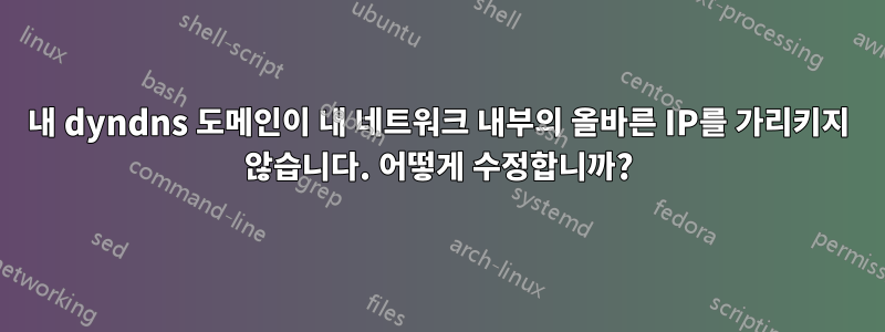 내 dyndns 도메인이 내 네트워크 내부의 올바른 IP를 가리키지 않습니다. 어떻게 수정합니까?