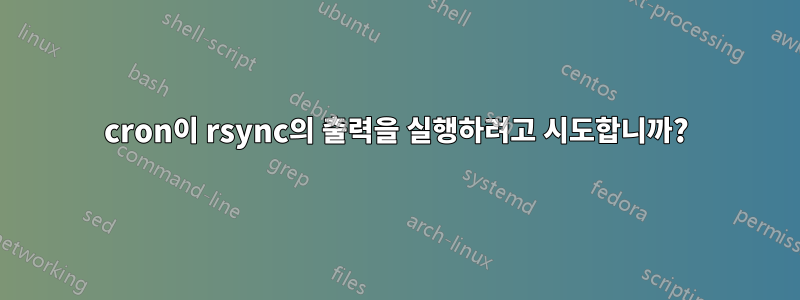 cron이 rsync의 출력을 실행하려고 시도합니까?