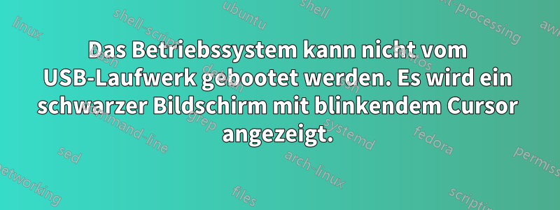 Das Betriebssystem kann nicht vom USB-Laufwerk gebootet werden. Es wird ein schwarzer Bildschirm mit blinkendem Cursor angezeigt.