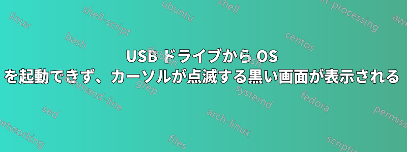 USB ドライブから OS を起動できず、カーソルが点滅する黒い画面が表示される