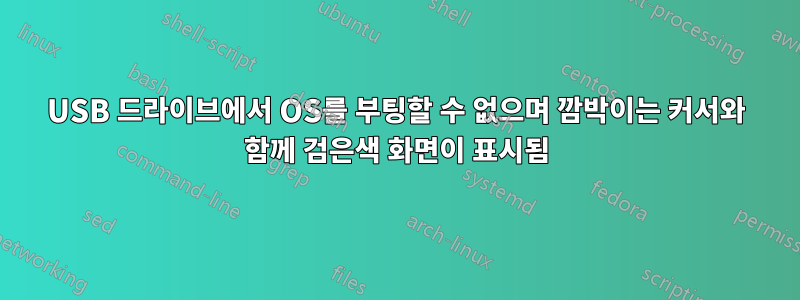 USB 드라이브에서 OS를 부팅할 수 없으며 깜박이는 커서와 함께 검은색 화면이 표시됨