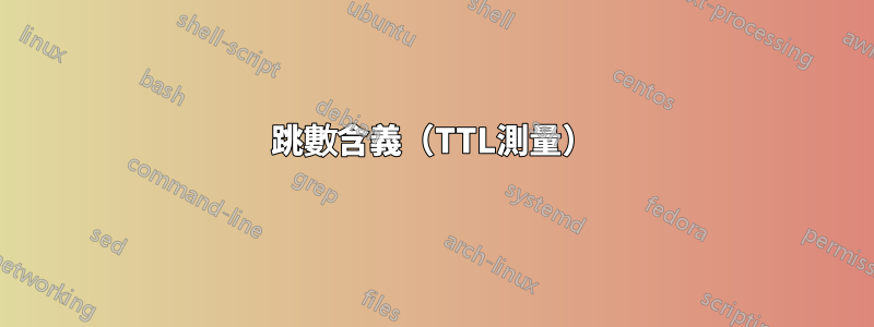 跳數含義（TTL測量）