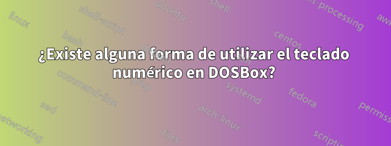 ¿Existe alguna forma de utilizar el teclado numérico en DOSBox?