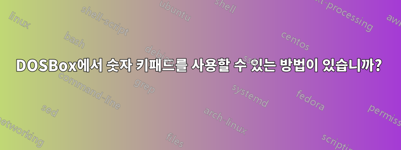 DOSBox에서 숫자 키패드를 사용할 수 있는 방법이 있습니까?