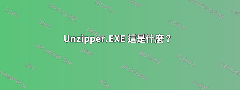 Unzipper.EXE 這是什麼？ 